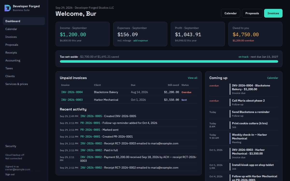 DFS Business Suite dashboard with sample data