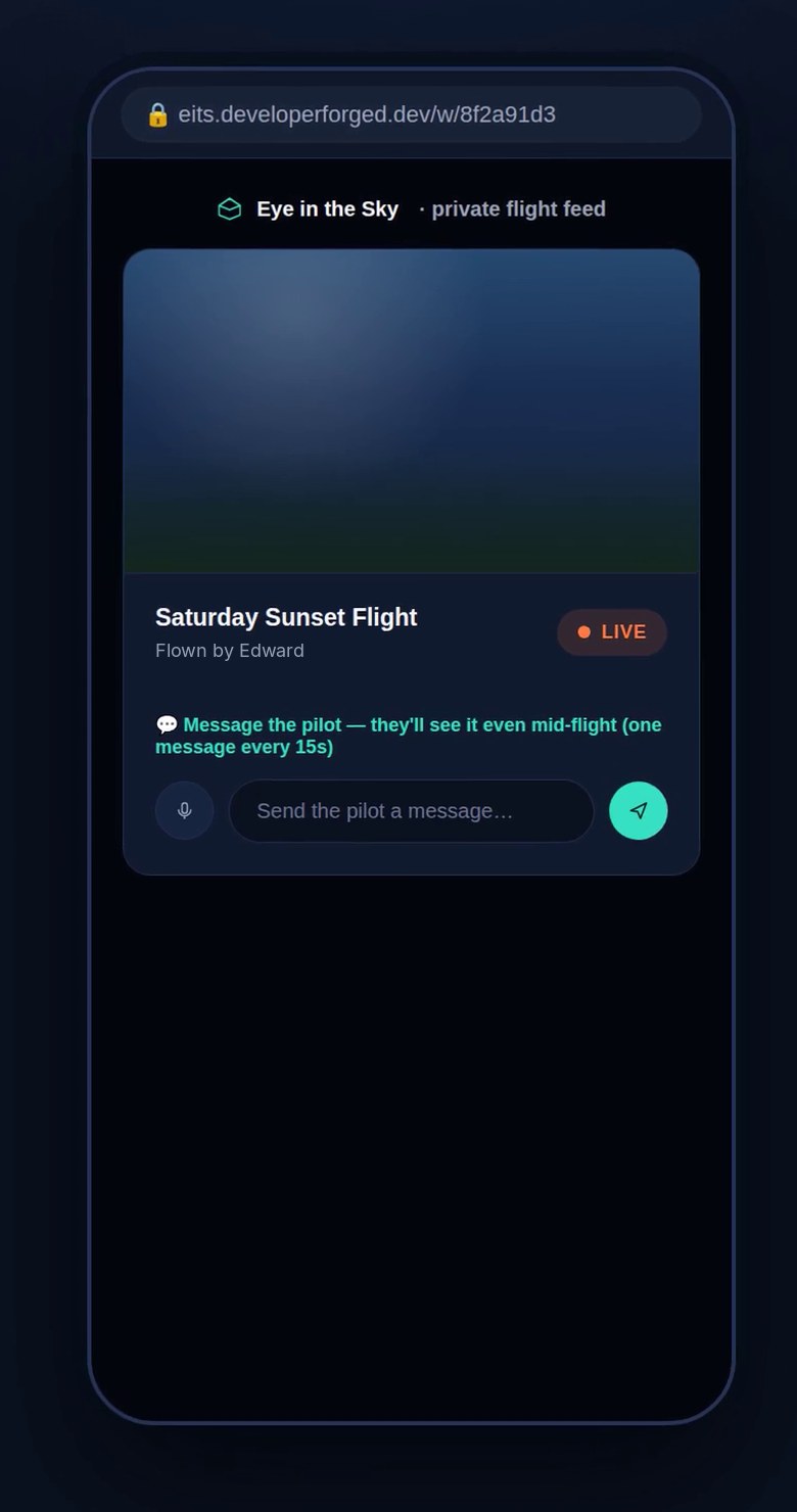 Eye in the Sky: private flight feed for viewers